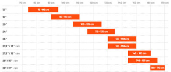 Dětské kolo 20 "- Amulet 20 Tomcat SH (2023) - 12