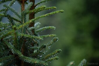 Objektivy Fuji X - 12