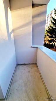 Podnájem bytu 1kk, 22m2, s balkónem, Brno, Palackého třída,  - 12