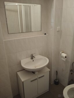 Pronájem bytu 1+KK, 60 m², Karlovy Vary - Počerny - 12
