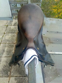 Prestige Hippos 17,5 /2 - 12