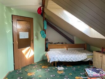 RD 5+1 Rakvice, CP 439 m2, sklep, dvůr - 12