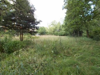 Prodej louky 3266 m² - 12