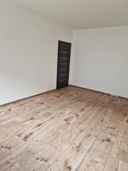 Pronájem zrekonstruovaného bytu 2+1L , Děčín, ul. Pohraniční - 12