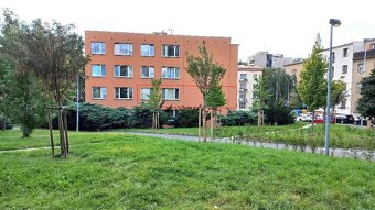 SPOLUBYDLENÍ - neprůchozí pokoj, přímo na metru A Bořislavka - 12