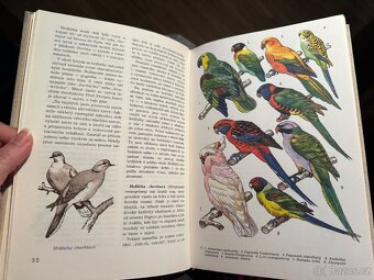 Světem zvířat - 12