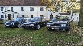 Jaguar Daimler DoubleSix V12 XJ81 - 12