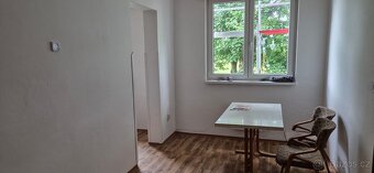 Pronájem bytu Ostrý u Jistebnice - 12