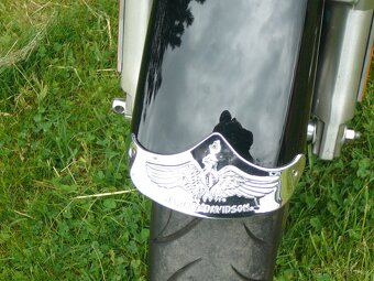 Harley-Davidson FLSTFI Fat Boy 2004 - 12