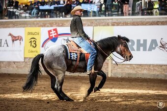 Připouštění charakterním Quarter horse - 12