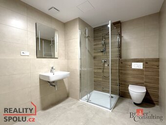 Pronájem, byty/1+kk, 47 m2, Železná, Jižní Předměstí, Plzeň  - 12