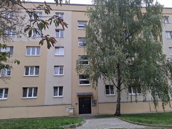 Byt k pronájmu - 12