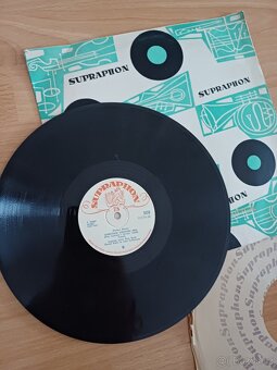 Gramofonove desky - 12