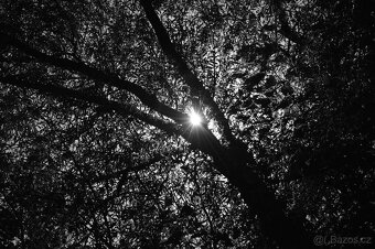 Nikon D5000+objektiv 18-105 mm+příslušenství - 12