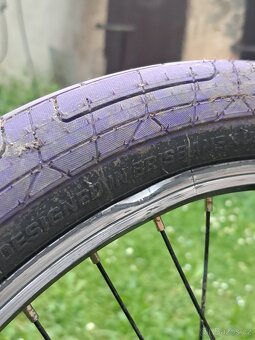 Fialové galaxy bmx - 12
