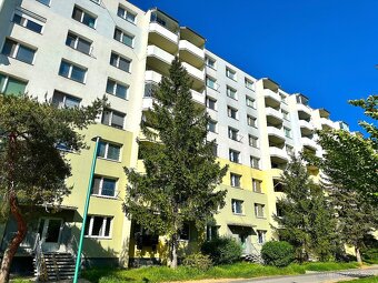 Prodej, Byt, 2+1, Hutník, Veselí nad Moravou - 12