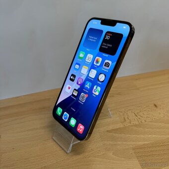 iPhone 13 Pro Max 128GB, šedý (12 měsíců záruka) - 12