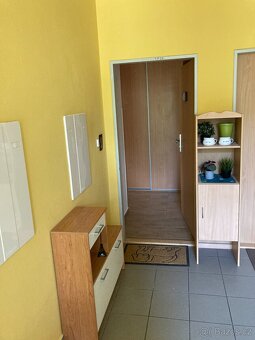 Pronájem bytu 1+1 Napajedla 45m2 klimatizace, balkon - 12