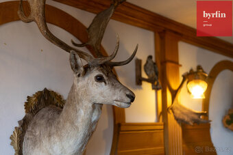 Penzion s 42.000 m² pozemků – ideální pro resort, svatby, sp - 12