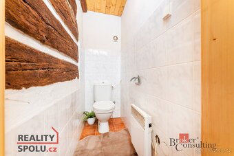 Prodej, domy/chalupa, 169 m2, 56166 Těchonín, Ústí nad Orlic - 12