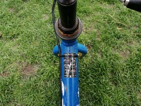 Odrážedlo/cykloodrážedlo Azub Fík - 12