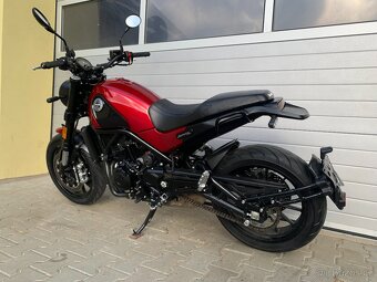 Benelli Leoncino 500 - 12