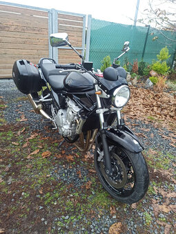 Suzuki GSF 650 Bandit R.V.2009 - 12