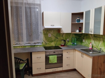 Dům se zahradou ve Vodňanech - 12