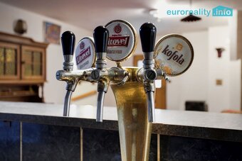 Prodej, motorest, Heřmanice v Podještědí - 12