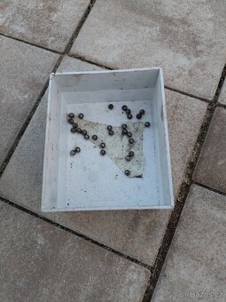 Jawa CZ 175 kyvacka - krk rizeni, spodni, horní bryle - 12