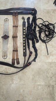 Prodám párové postroje do kočáru s chomouty - 12