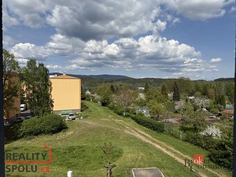 Prodej, byty/1+1, 39 m2, Svobodova 385, 36225 Nová Role, Kar - 12