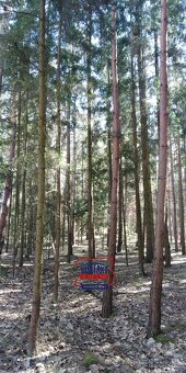 Lesní pozemky v Bítouchově u Mladé Boleslavi, ev.č. VŠ-7734 - 12