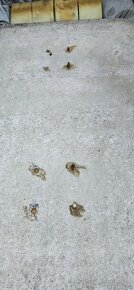 Mramorový stůl - 12