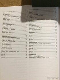 Český jazyk a literatura - 12