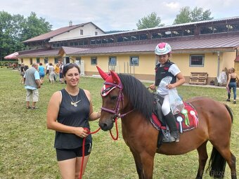 prodam pony- pronajem - 12