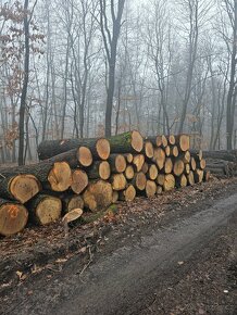 Palivové dřevo - 12