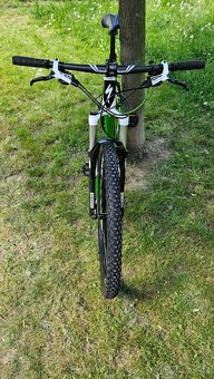 Specialized Carve Comp 29 vel L-19 - 12