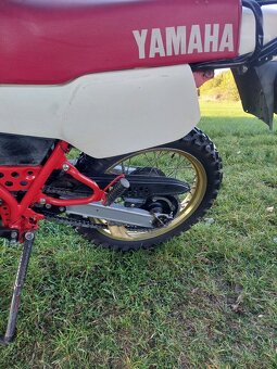 Yamaha XT 600 Z Tenere - 12
