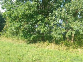 Krásný pozemek v luxusní přírodě. Neváhejte: Les, louka.... - 12
