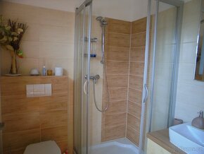 Nabízím k pronájmu zařízený apartmán ve Starém Plzenci - 12
