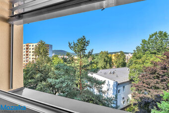 Pronájem hezkého bytu 1+1, 41,9 m² – Ústí nad Orlicí, ul.Pop - 12