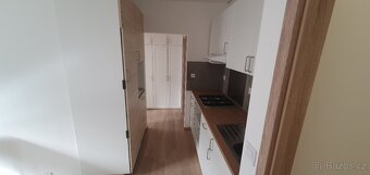 Pronájem bytu 2+1 50m2 ul. Plamínkové, Pankrác - 12