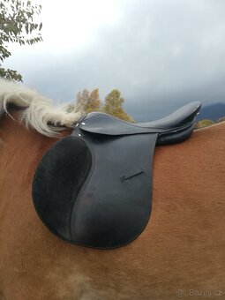 Prodám jezdecké vybavení - 12