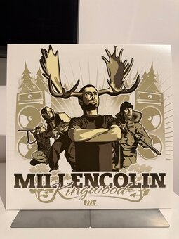 Prodám Vinyly (gramodesky) - 12