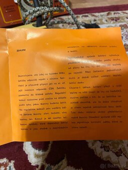 Retro žehlička - 12