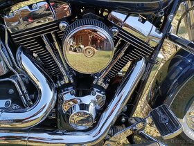 Harley Davidson FLSTC Heritage Softail - 12