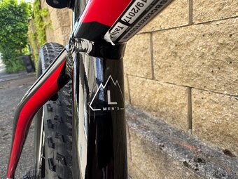 Specialized Rockhopper 29” - 12