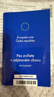 Krytí britský kocour - 12