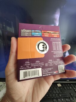 Akustická kytara Martinez - 12